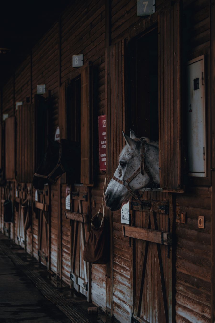 Horse Stables